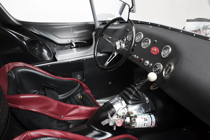 17AZ-1376-64-CHEETAH-5889 sm