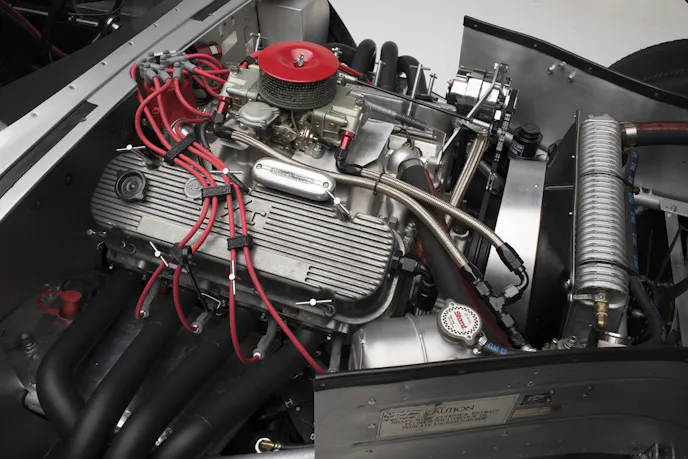 17AZ-1376-64-CHEETAH-5874 sm