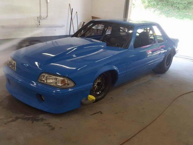 15781639_10209496237380181_4652781974958887263_n