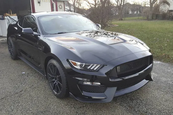 It's quite possible that you could be laying your eyes on the rarest Shelby GT350 ever produced, according to this Craigslist ad.