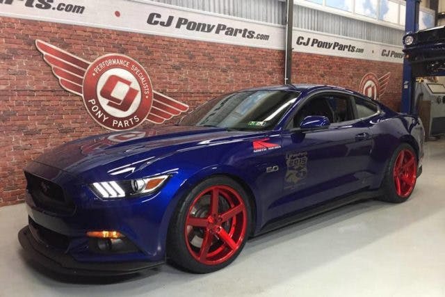 Images provided by CJ Pony Parts.