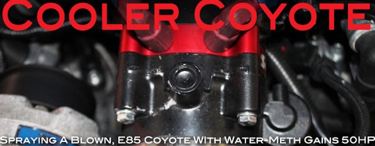 00 Snow E85 Coyote Test_Lead Art
