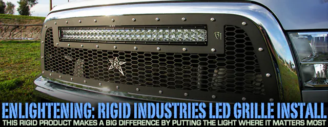 RIGIDLEDGRILLELEADART_edited-1