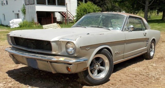 The ultimate workhorse, Tom deLyons steed just gets it done!