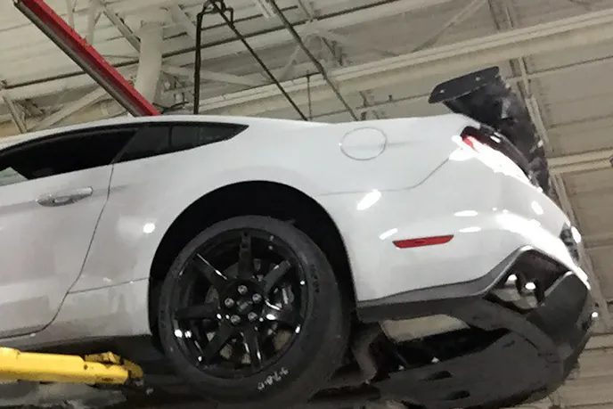 17353142_10155092729643134_4514239962649987023_n copy