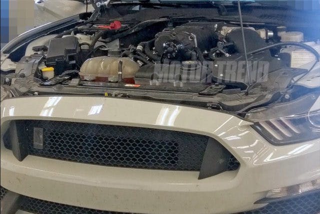 A new spy photo sent to Motor Trend shows a supercharged engine under the hood of this Shelby test mule. (Photo Credit: Motor Trend)