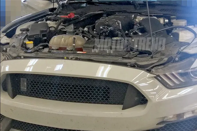 A new spy photo sent to Motor Trend shows a supercharged engine under the hood of this Shelby test mule. (Photo Credit: Motor Trend)