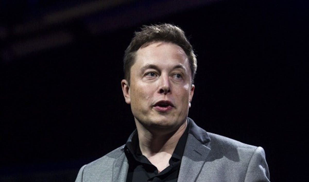 elon musk