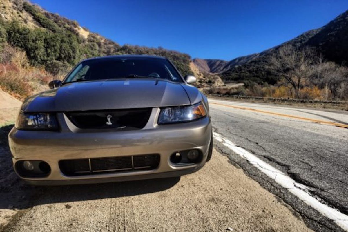 Images courtesy of Peter Lally.