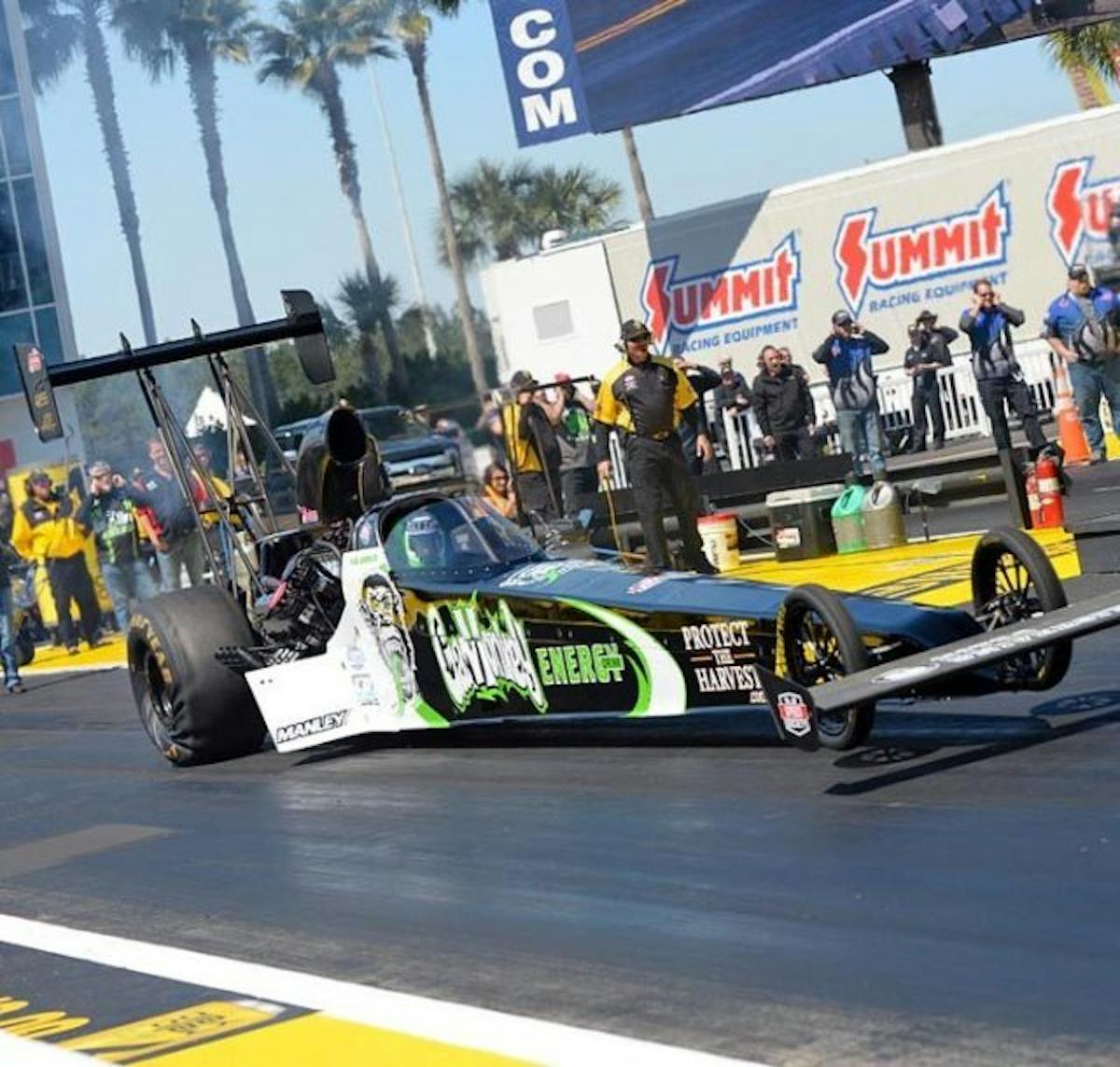 17629996_1806677262691034_1131448292060195221_n