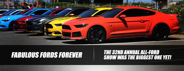 FFF_LEAD_ART_edited-1