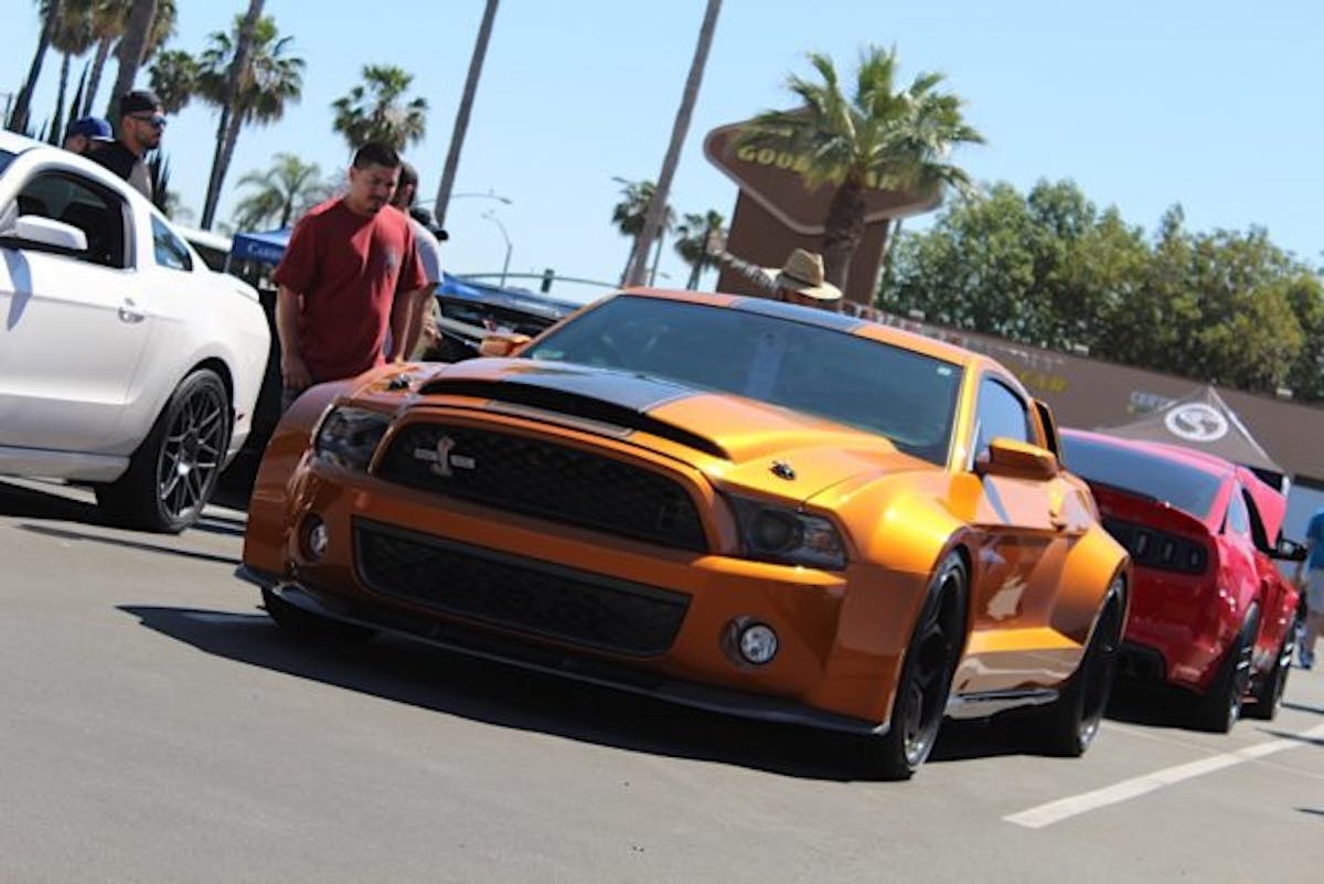 From mild to wild, you could find just about any Ford this year, like this wide-bodied Shelby GT500 Super Snake.