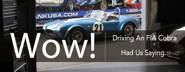 FIA Cobra Replica Drive Lead Art