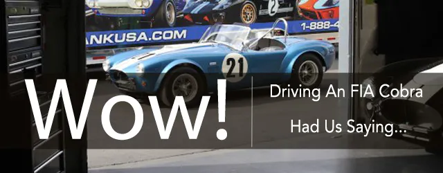 FIA Cobra Replica Drive Lead Art