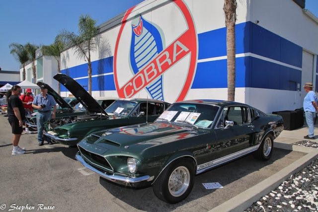 3 New Shelby Announcement