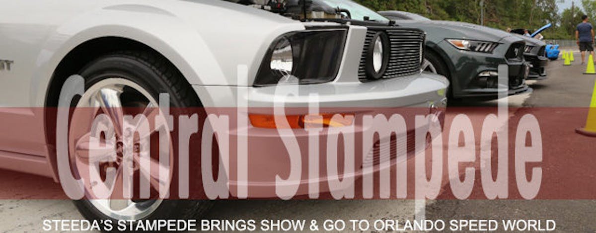 Steeda Stampede Lead Art