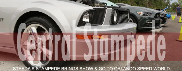 Steeda Stampede Lead Art