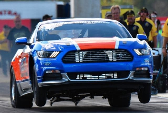 2 Team Z Memorial Sale