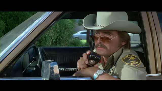 James Brolin as Sherriff's Deputy, Wade.