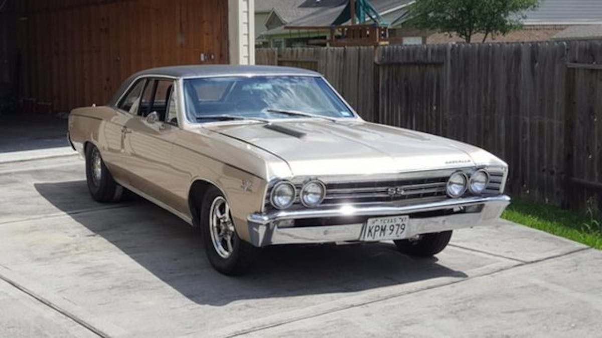 20170413_115623_zpskzomh9zh