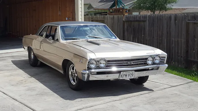 20170413_115623_zpskzomh9zh