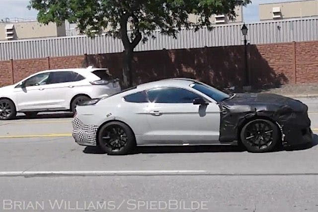 (Photo credit: Brian Williams)