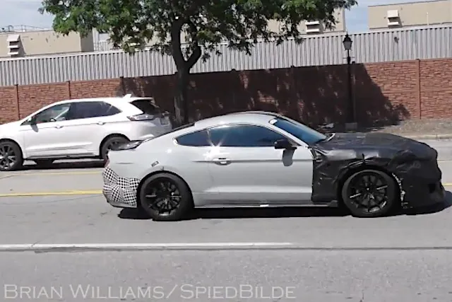 (Photo credit: Brian Williams)