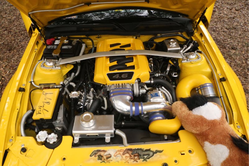 classics-to-current-models-packed-npds-final-show-0021