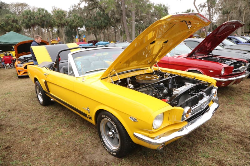 classics-to-current-models-packed-npds-final-show-0119