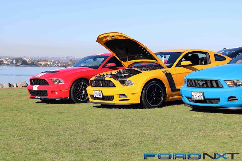Mustangs by the Bay