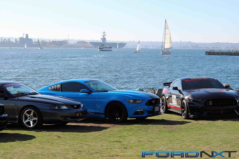 Mustangs by the Bay