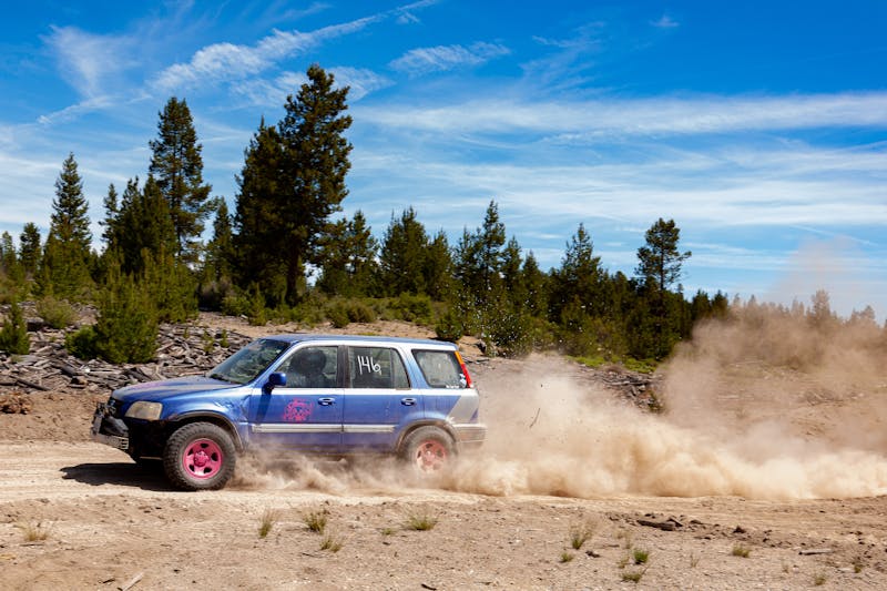 Gambler 500/Hooptie X