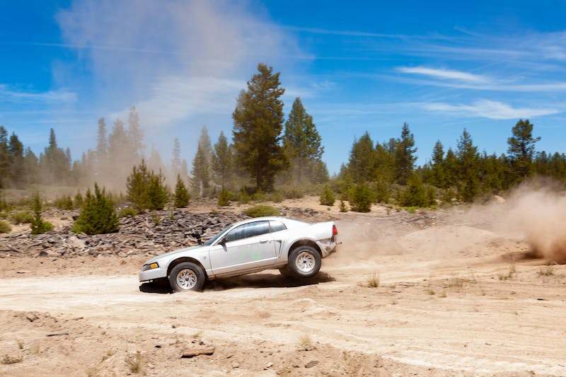 Gambler 500/Hooptie X