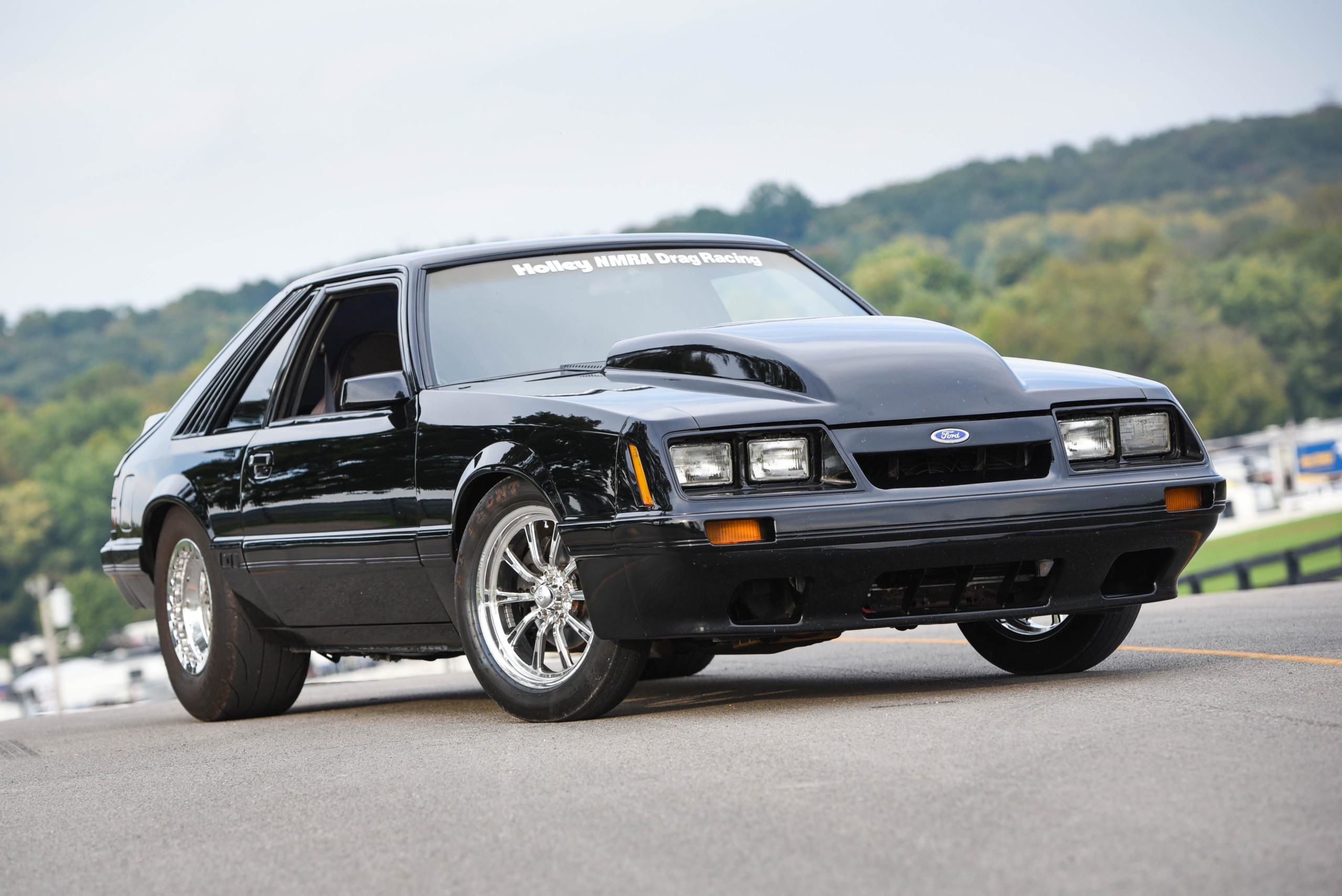 洋書 MUSTANG The Racing Thoroughbred 洋書 MUSTANG The Racing Thoroughbred Josh Mitchell's 1985