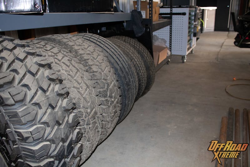 Blake Wilkey's Shark Den