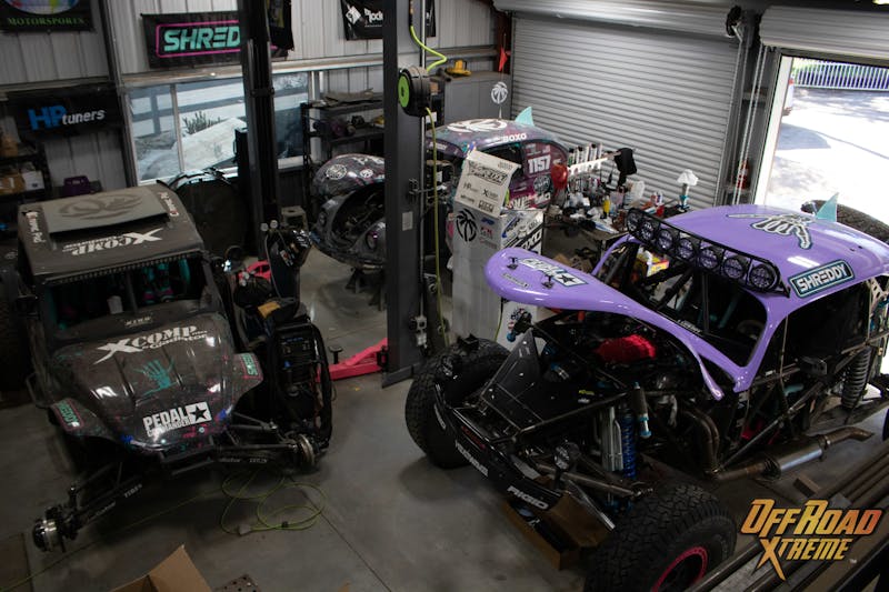 Blake Wilkey's Shark Den