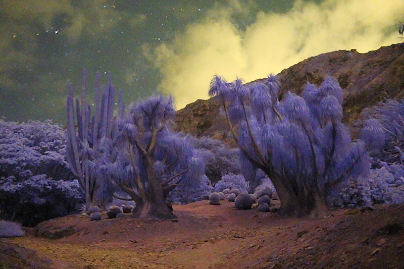 Off-Road Gear Guide For UTV And SxS Accessories: Gadgets