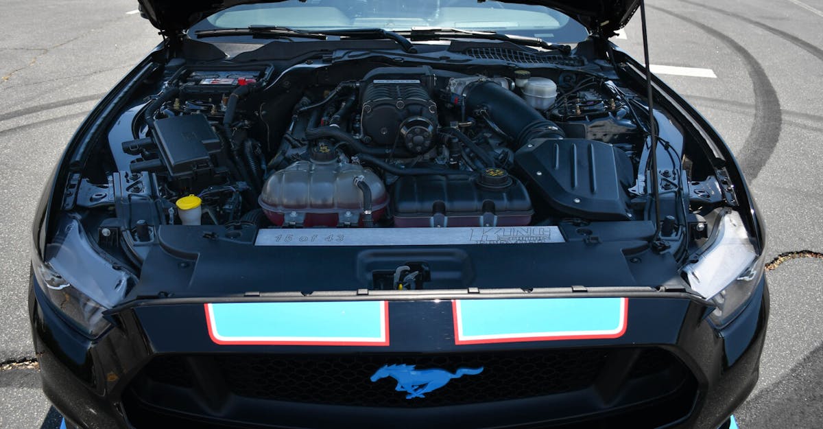 Petty King Premier Edition