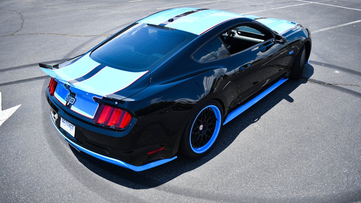 Petty King Premier Edition