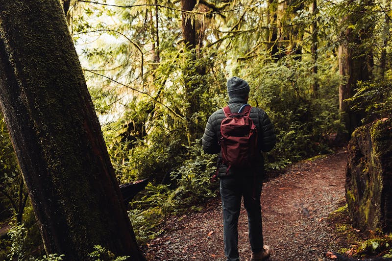 Ultimate Fathers Day Gift Guide: Tech Gear Essentials