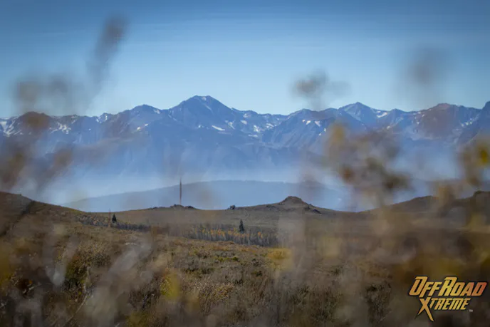 A Rebelle Rally Adventure Proves Successful For A Honda Collective