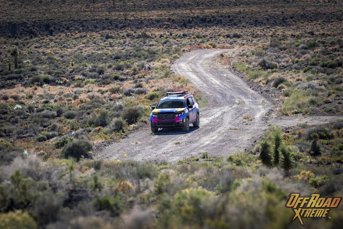A Rebelle Rally Adventure Proves Successful For A Honda Collective