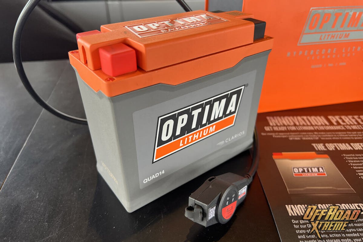 optima, orangetop