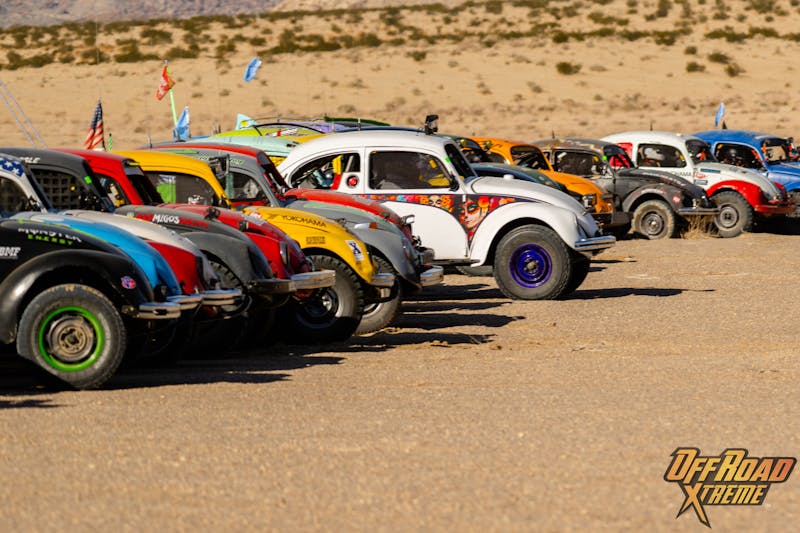 The Bugs Swarm King of the Hammers: 2024 Baja Vida Class 11 Showdown