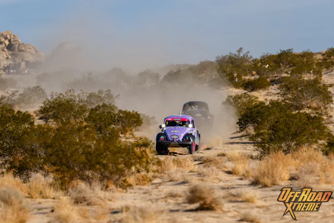 The Bugs Swarm King of the Hammers: 2024 Baja Vida Class 11 Showdown