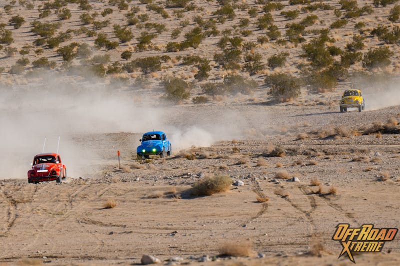 The Bugs Swarm King of the Hammers: 2024 Baja Vida Class 11 Showdown