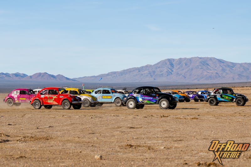 The Bugs Swarm King of the Hammers: 2024 Baja Vida Class 11 Showdown