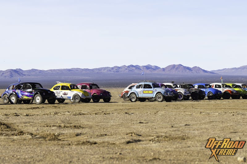 The Bugs Swarm King of the Hammers: 2024 Baja Vida Class 11 Showdown