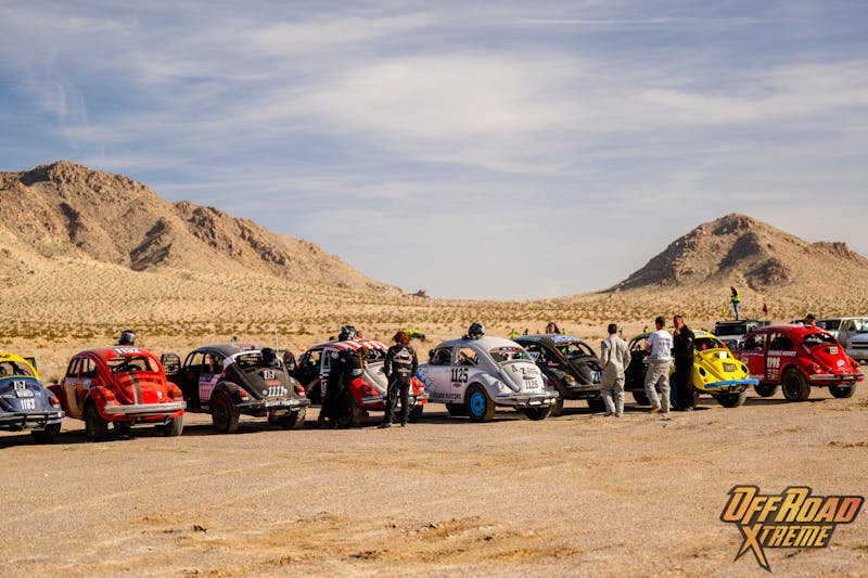 The Bugs Swarm King of the Hammers: 2024 Baja Vida Class 11 Showdown