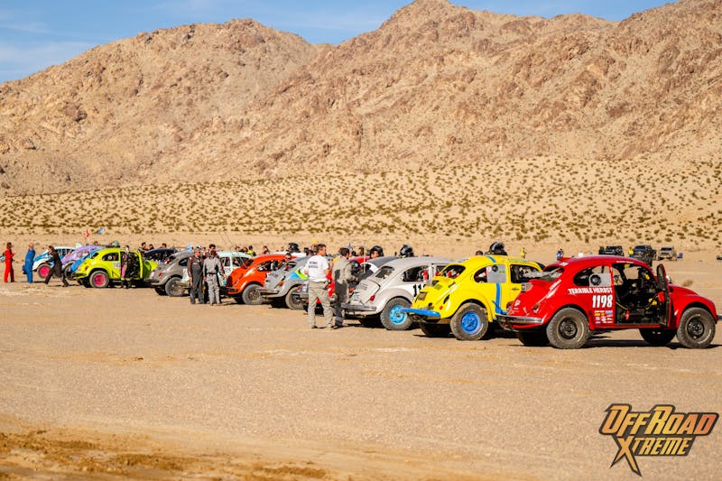 The Bugs Swarm King of the Hammers: 2024 Baja Vida Class 11 Showdown